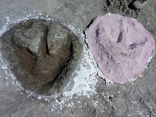 کشف ردپای ۷۰ سانتی‌متری دایناسور پس از ۱۶۰ میلیون سال از دل زمین!